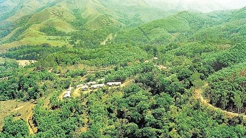 <div class="paragraphs"><p>Trekking to the Kudremukh peak, a 20-km two-way route, and Kurinjal peak, a seven-km route, are very popular in the Kudremukh National Park (KNP) in Chikkamagaluru district. </p></div>