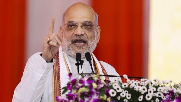 <div class="paragraphs"><p>Union Home Minister Amit Shah.</p></div>