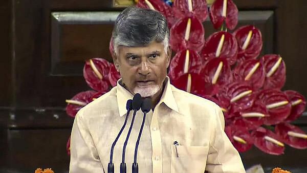 <div class="paragraphs"><p>Andhra Pradesh Chief Minister N Chandrababu Naidu</p></div>