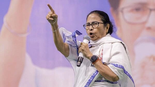 <div class="paragraphs"><p>West Bengal CM Mamata Banerjee</p></div>