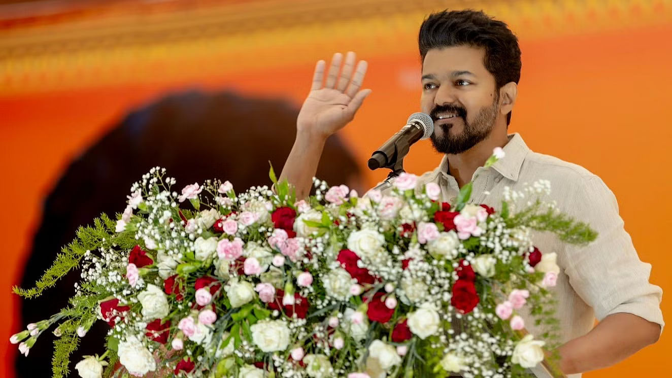 <div class="paragraphs"><p>Popular Tamil actor-politician Vijay</p></div>