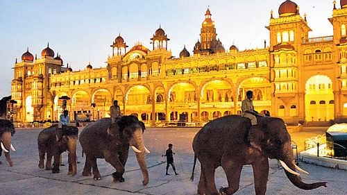 <div class="paragraphs"><p>Dasara elephants rehearse on the Mysuru Palace premises.</p></div>