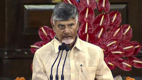 <div class="paragraphs"><p>Andhra Pradesh Chief Minister N Chandrababu Naidu.</p></div>