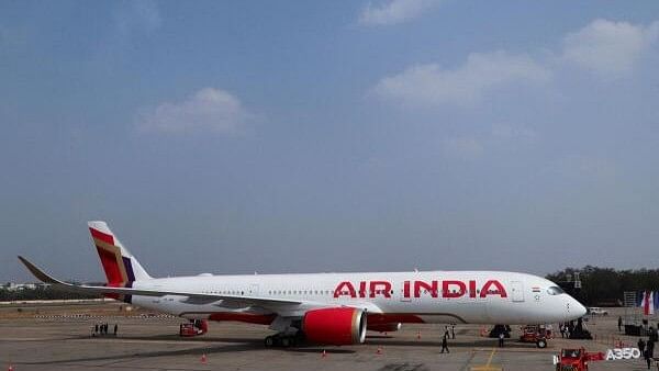 <div class="paragraphs"><p>Representative image showing an Air India plane</p></div>