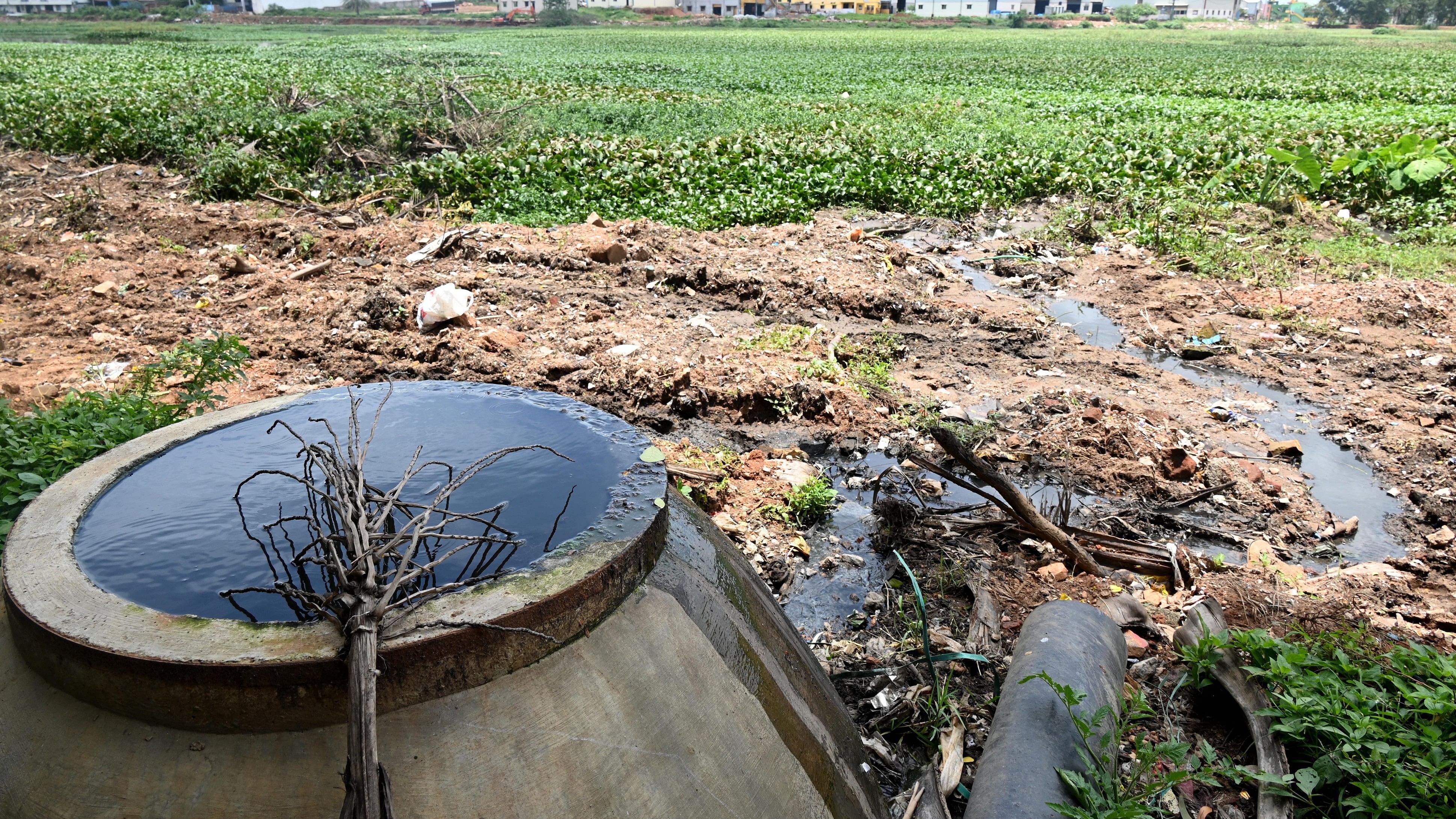 <div class="paragraphs"><p>Semi-treated water flows into Narasappanahalli Lake in the Peenya Industrial Area. </p></div>