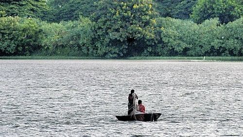 <div class="paragraphs"><p>A woman spreads a fishing net at Ulsoor lake in the City.  </p></div>