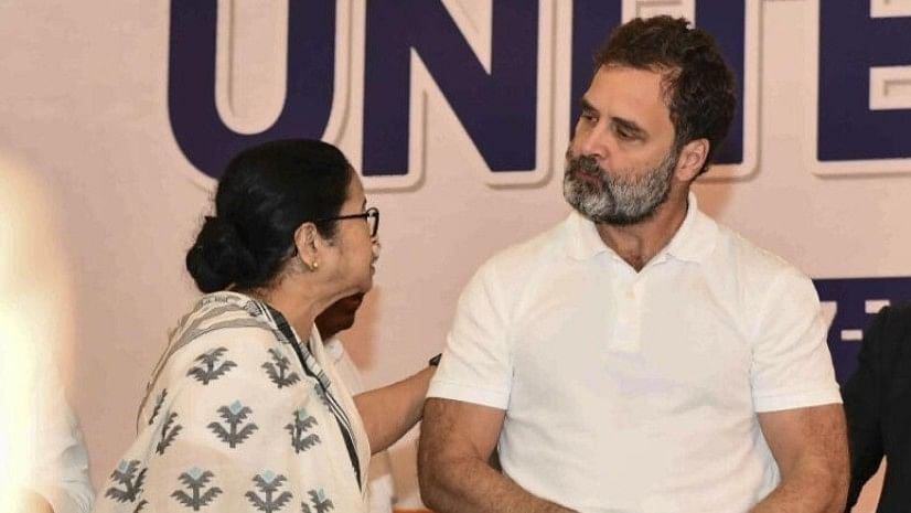 <div class="paragraphs"><p>TMC supremo Mamata Banerjee with Congress leaders Rahul Gandhi  </p></div>