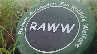 <div class="paragraphs"><p>The logo of RAWW.</p></div>