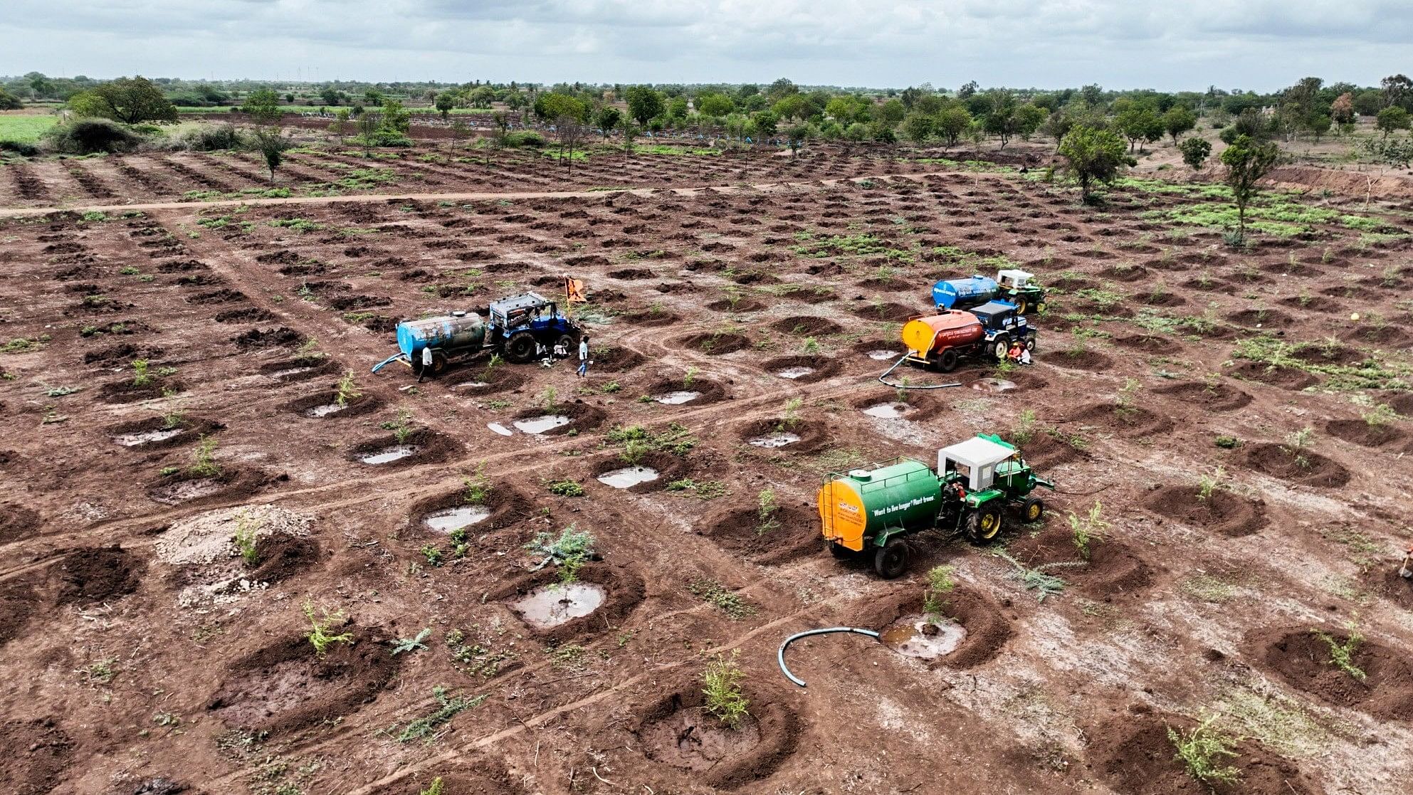 Workers watering the plants at Mamadapur.