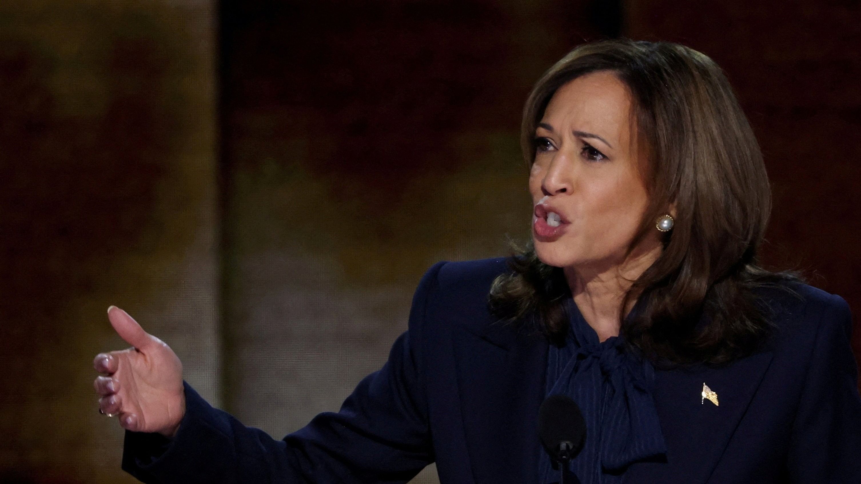 <div class="paragraphs"><p>Democratic presidential nominee and US Vice President Kamala Harris </p></div>