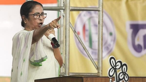 <div class="paragraphs"><p>TMC supremo Mamata Banerjee.</p></div>