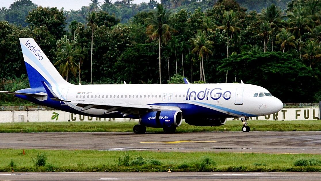 <div class="paragraphs"><p>An Indigo aircraft. </p></div>