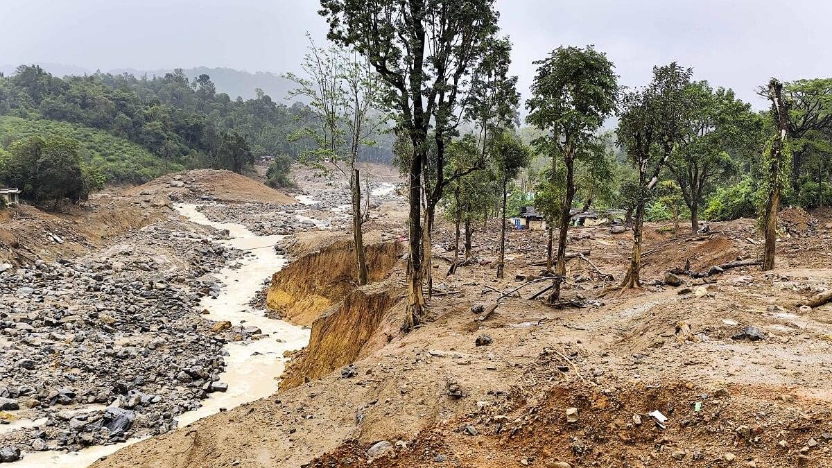 <div class="paragraphs"><p>The rugged terrain in the Chooralmala village a month after the Wayanad landslides disaster that struck Kerala on July 30.</p></div>