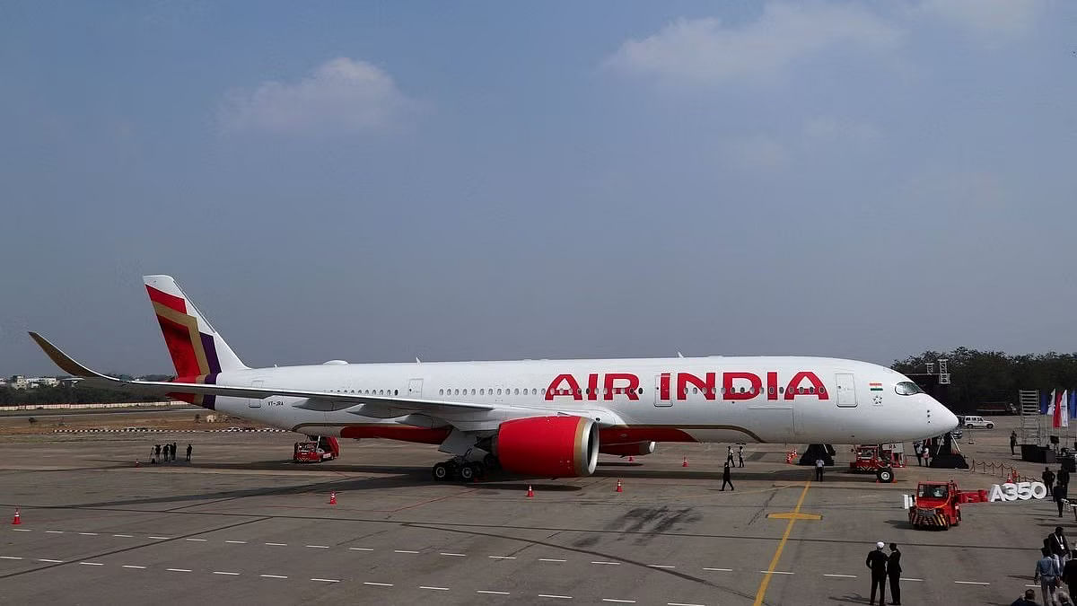 <div class="paragraphs"><p>An Air India aircraft.</p></div>