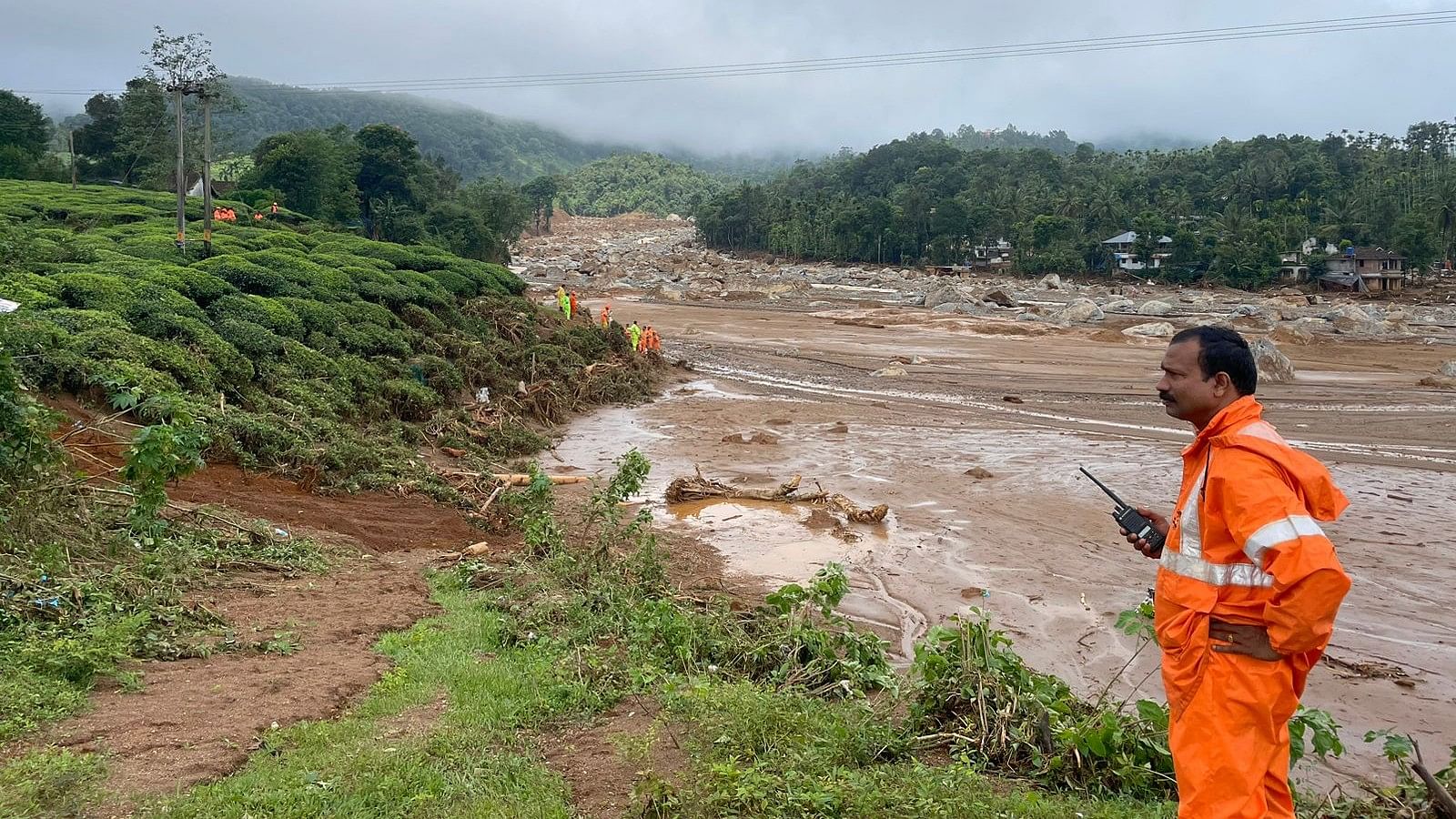 <div class="paragraphs"><p>The site of the landslide disaster at Chooramala near Mudakkai in Wayanad.</p></div>