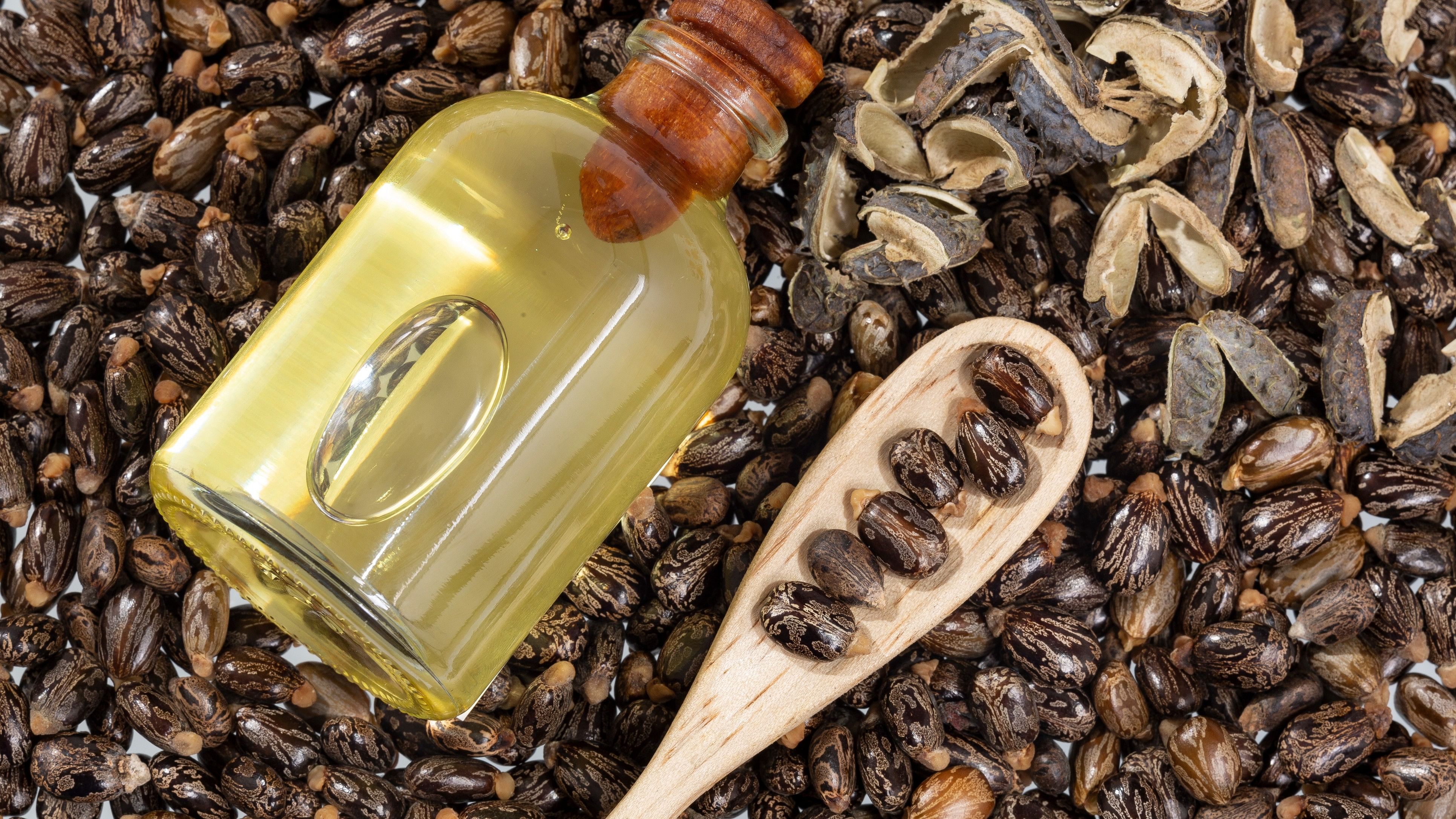 <div class="paragraphs"><p>Castor oil – made from the beans of the castor plant – is an ancient medicine.</p></div>