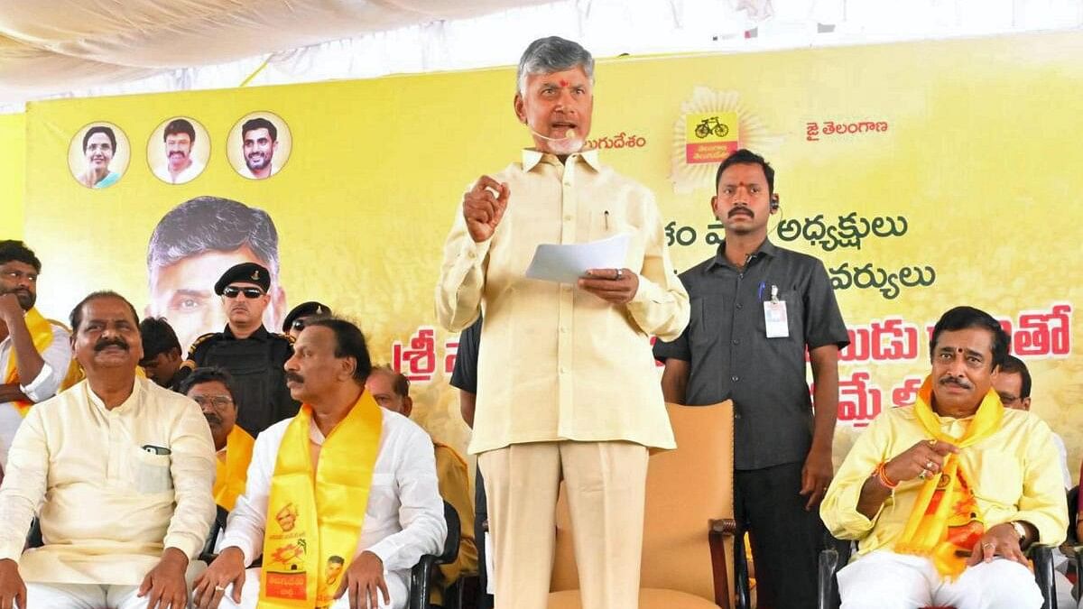 <div class="paragraphs"><p>Andhra Pradesh Chief Minister and TDP chief N Chandrababu Naidu.</p></div>