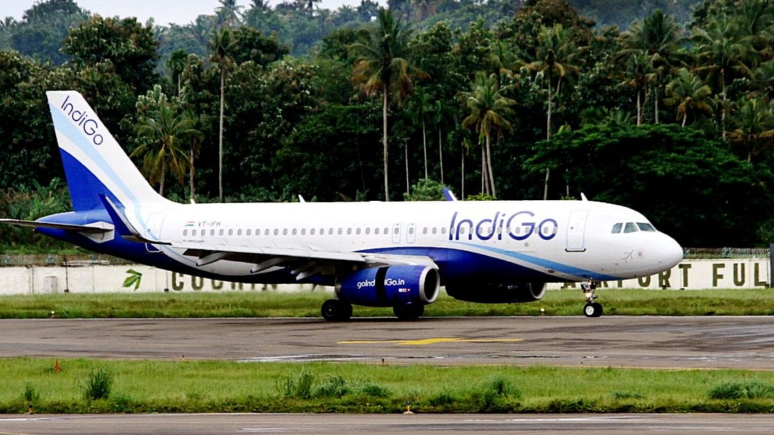 <div class="paragraphs"><p>Representative image of an Indigo aircraft. </p></div>