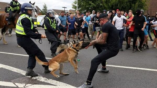 <div class="paragraphs"><p>A police dog attacks a protester in Rotherham, Britain.</p></div>