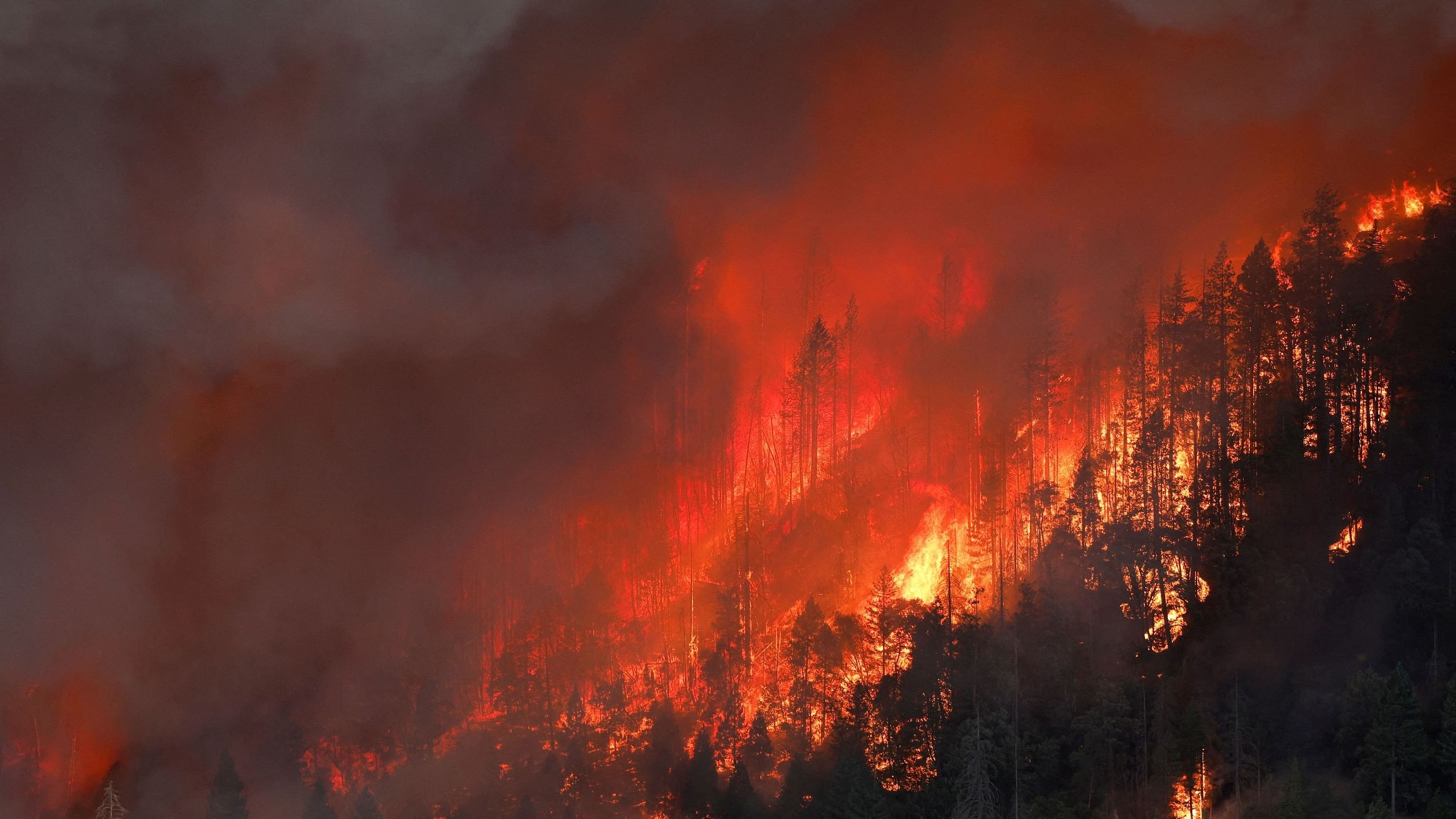 <div class="paragraphs"><p>A wildfire is seen along Highway 32 near Butte Meadows, California, US July 26, 2024. </p></div>