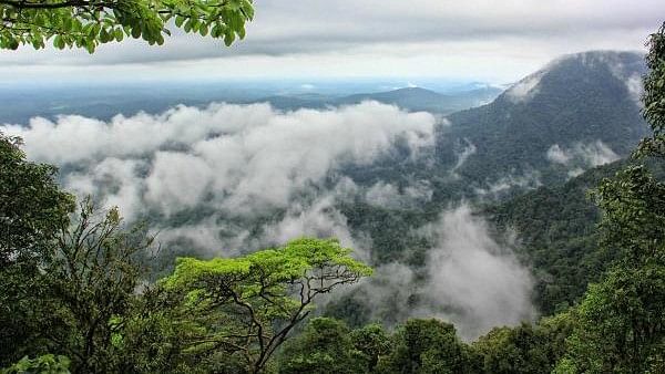 <div class="paragraphs"><p>Agumbe Ghat.&nbsp;</p></div>