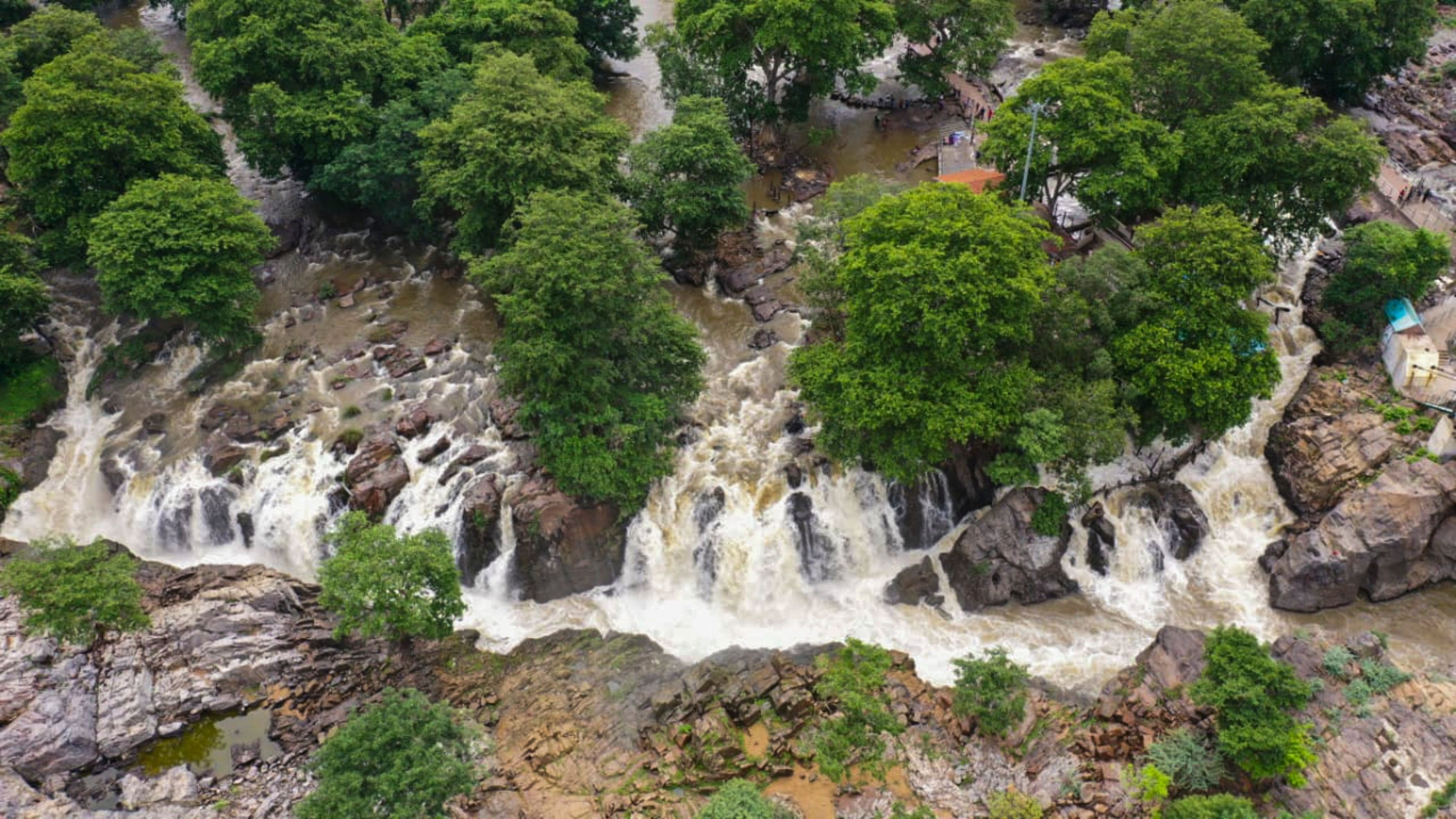 <div class="paragraphs"><p>Cauvery River.</p></div>