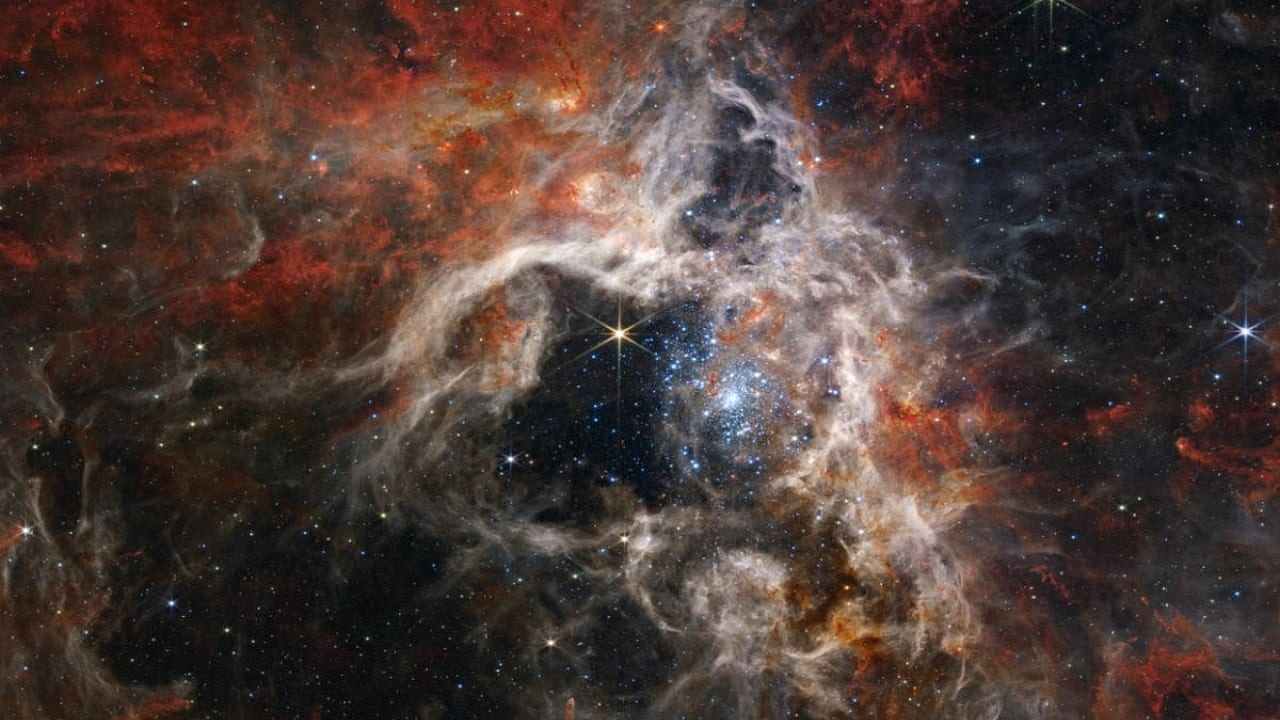 <div class="paragraphs"><p>Cosmic Tarantula Nebula in outer space.</p></div>