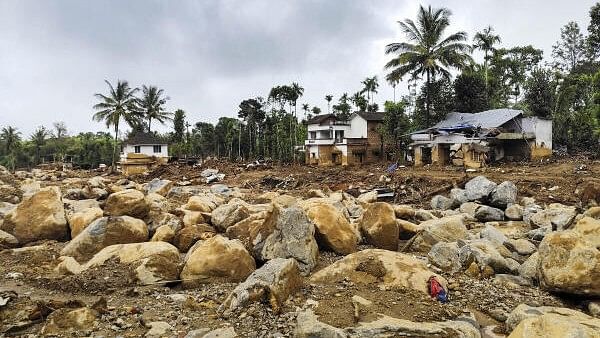 <div class="paragraphs"><p>Wayanad district post landslides.</p></div>