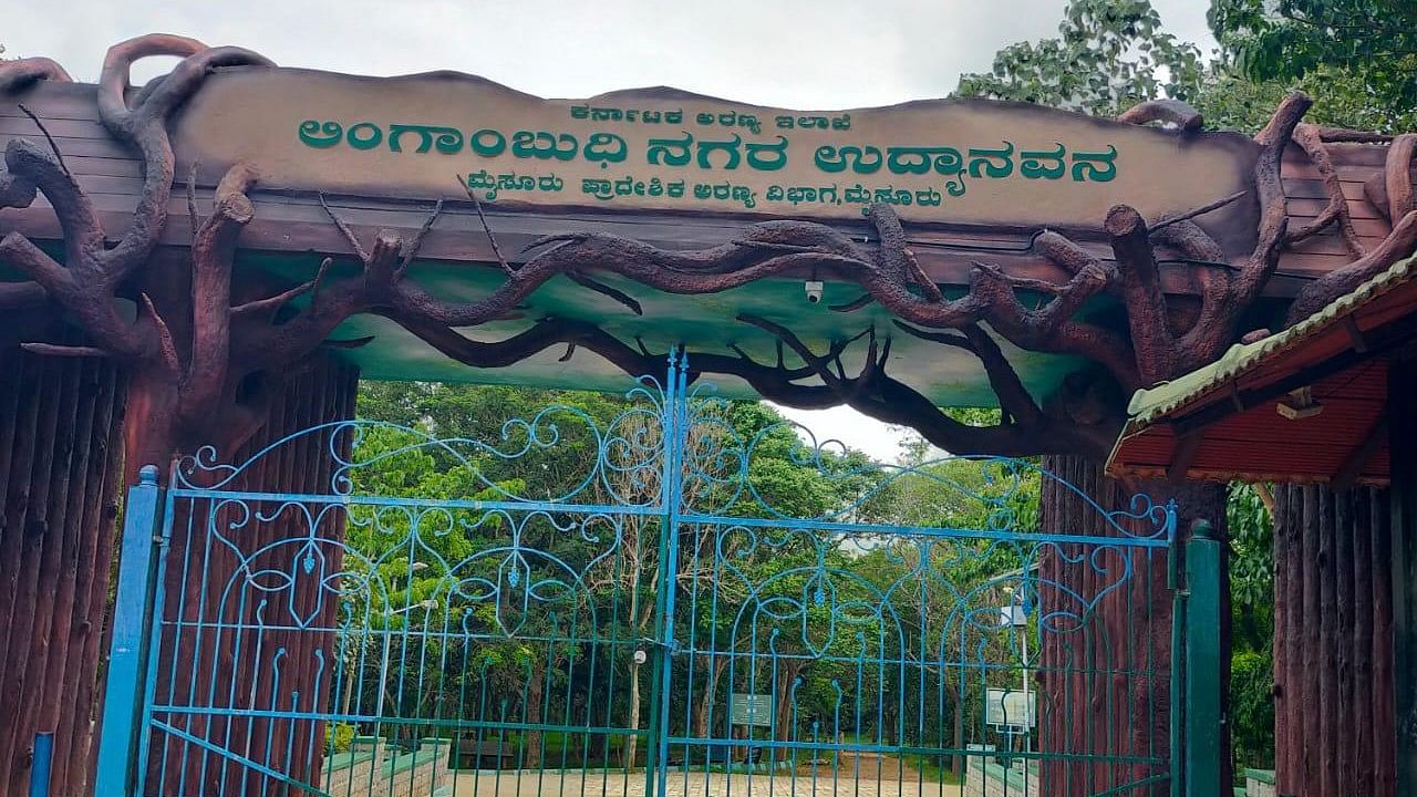 <div class="paragraphs"><p> Lingambudi Forest in the Greening Urban Range of Mysuru city of Mysuru territorial division. </p></div>