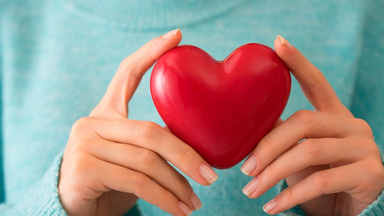 <div class="paragraphs"><p>Image showing a woman holding a red heart. For representational purposes.</p></div>