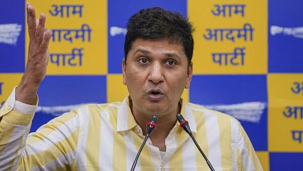 <div class="paragraphs"><p>Delhi minister and AAP leader Saurabh Bharadwaj.</p></div>