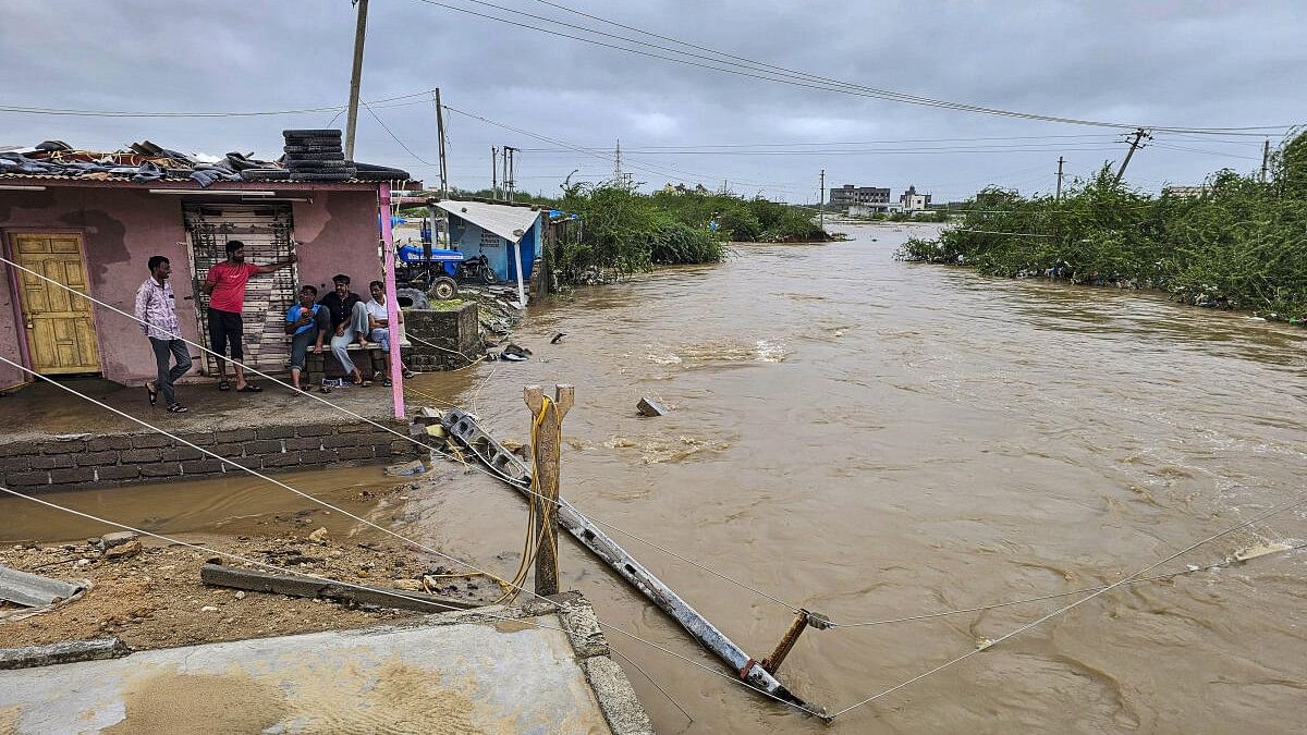 <div class="paragraphs"><p>A flooded area at Kothara village in Kutch district</p></div>