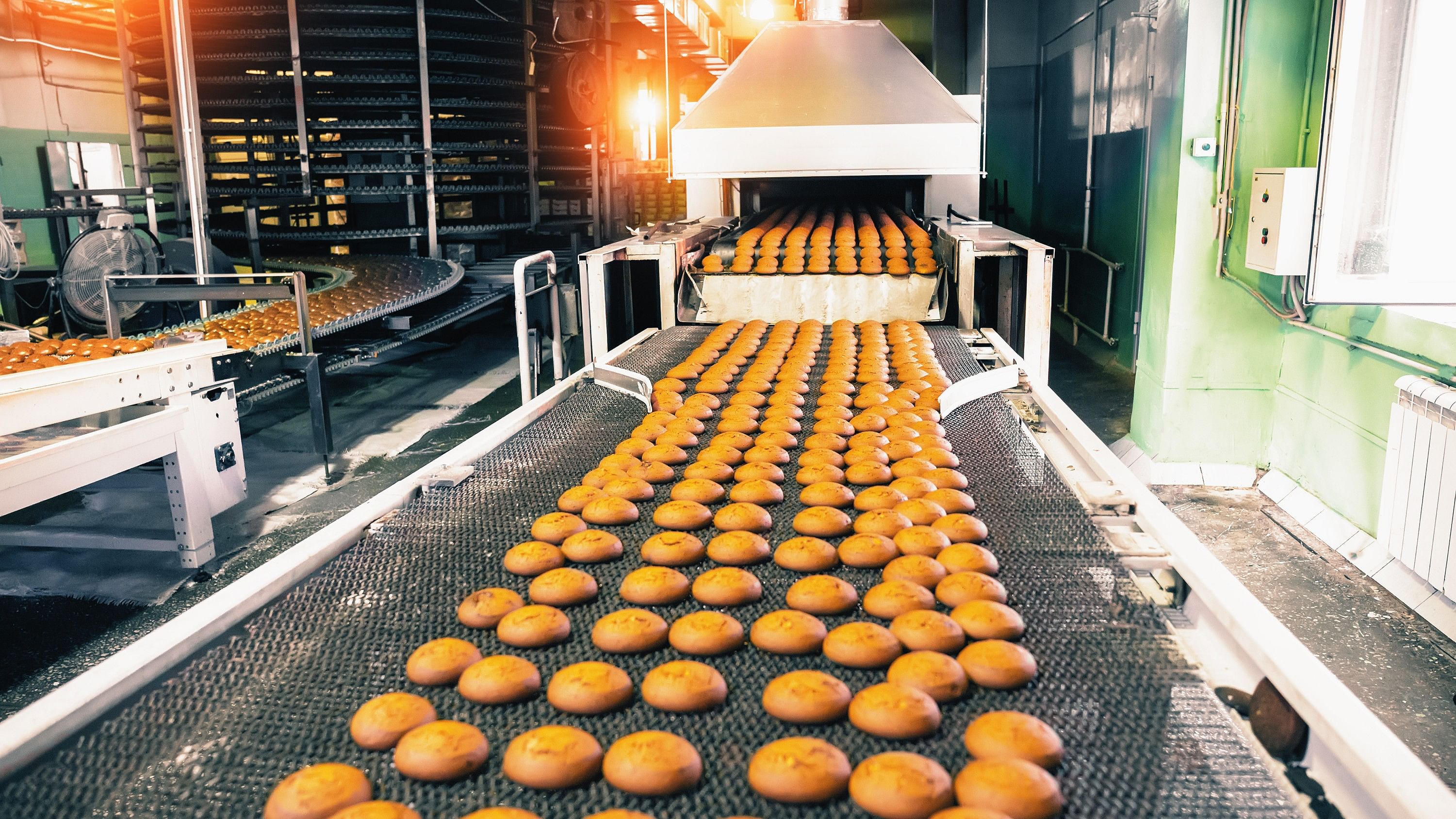 <div class="paragraphs"><p>A biscuit factory. Image for representation.</p></div>