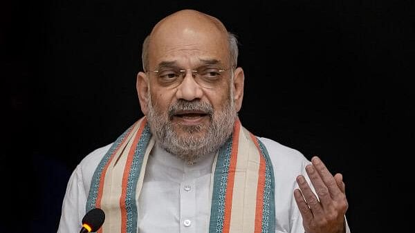 <div class="paragraphs"><p>Union Home Minister Amit Shah.</p></div>