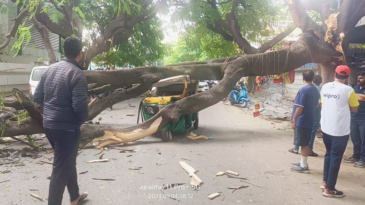 <div class="paragraphs"><p>The autorickshaw that was damaged in Jayanagar on Wednesday. </p></div>