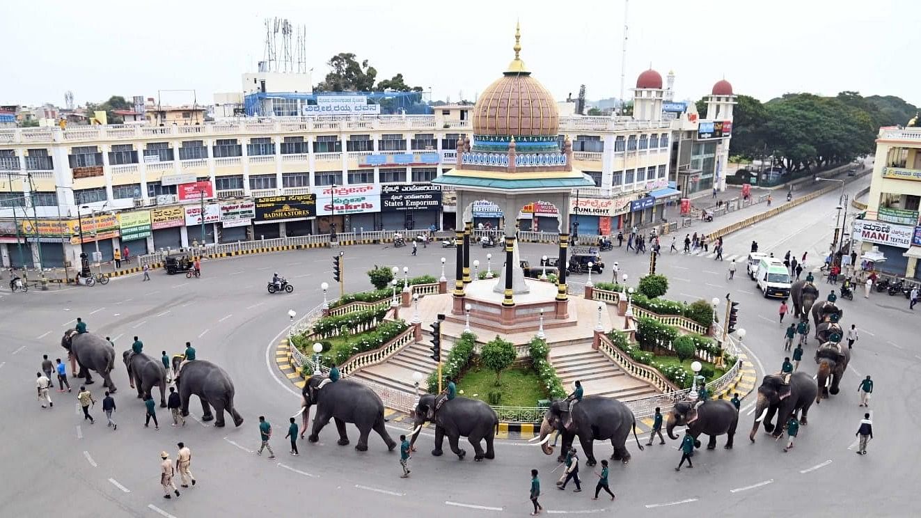 <div class="paragraphs"><p>Dasara Elephants march on Dasara Procession route/Raja Marga in the heart of Mysuru city on Friday morning. </p></div>