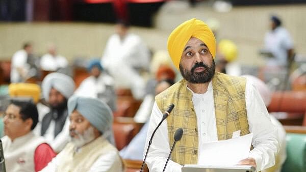 <div class="paragraphs"><p>Bhagwant Mann.</p></div>