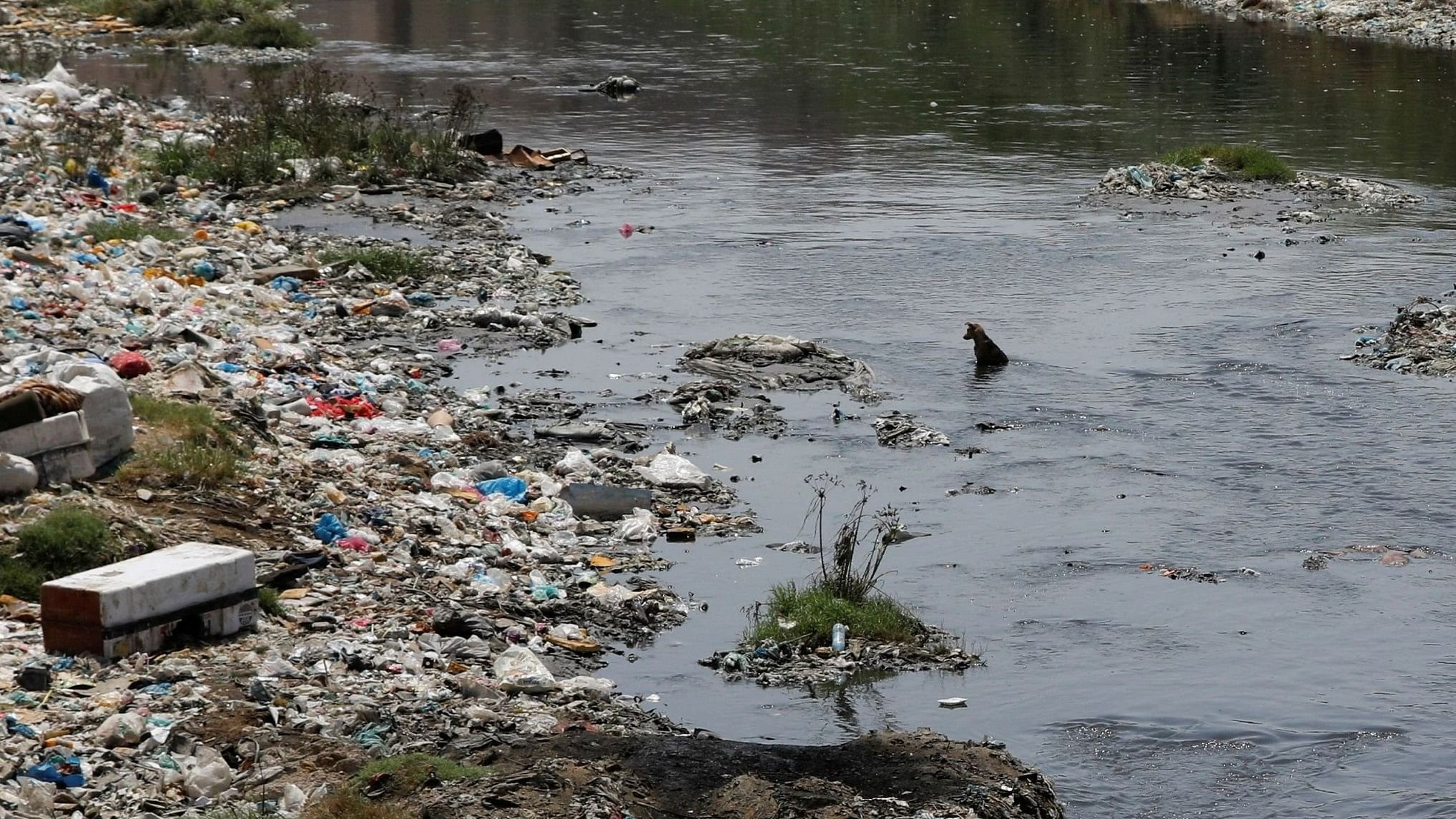 <div class="paragraphs"><p> Water pollution. Representative image.</p></div>