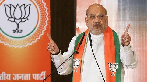 <div class="paragraphs"><p>Amit Shah.</p></div>