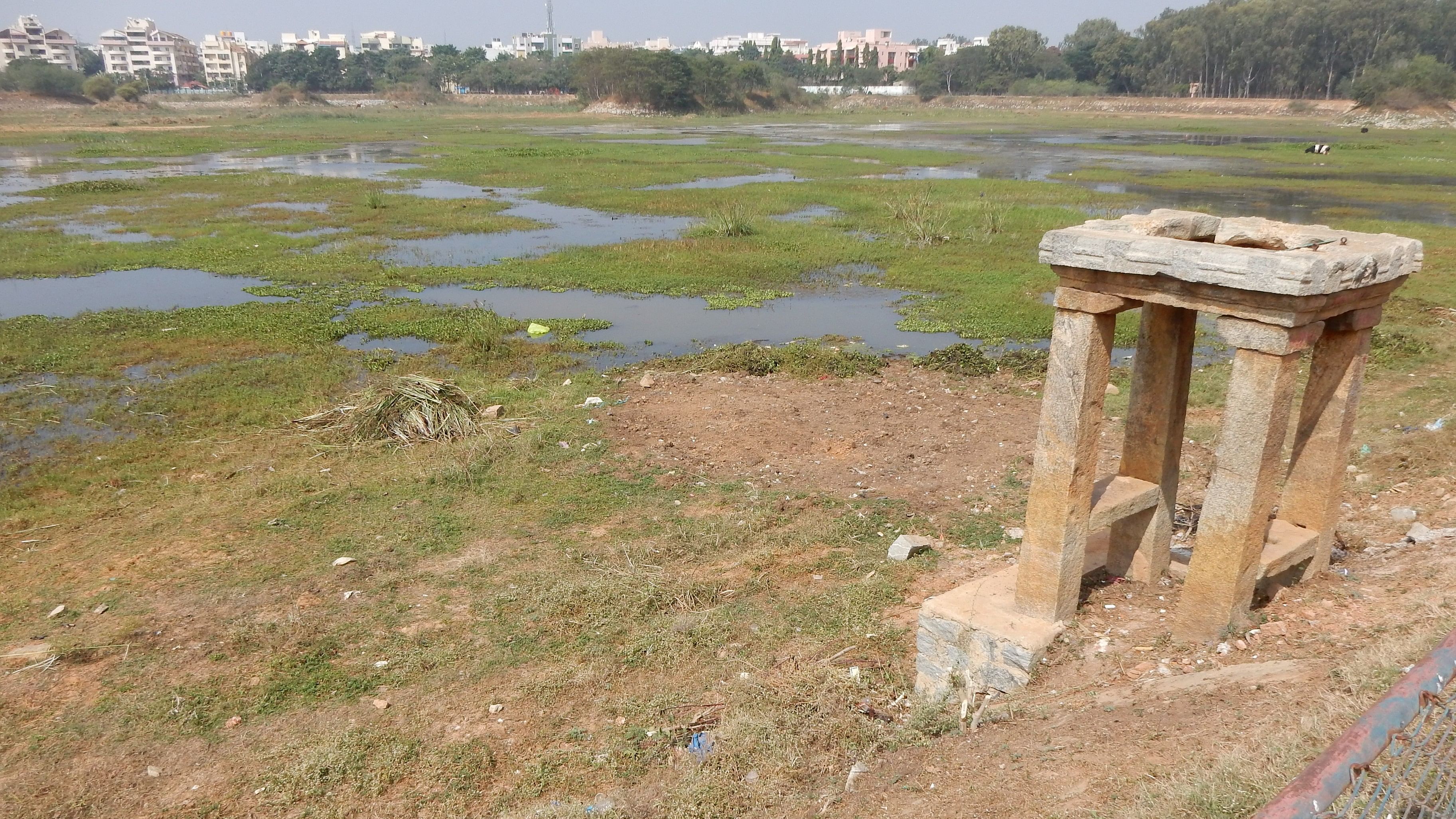 A file picture of Vibhutipura lake.