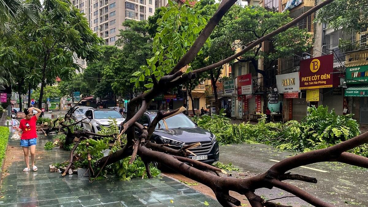 <div class="paragraphs"><p>A woman walks past a fallen tree following the impact of Typhoon Yagi, in Hanoi, Vietnam, September 8, 2024. </p></div>