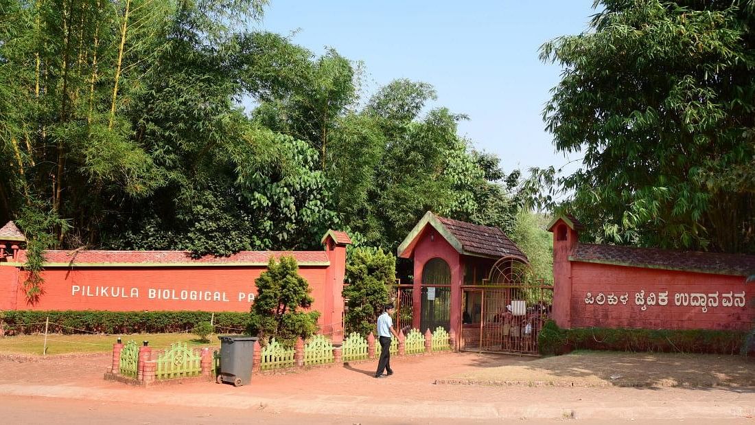 <div class="paragraphs"><p>Pilikula Biological Park in Mangaluru.</p></div>