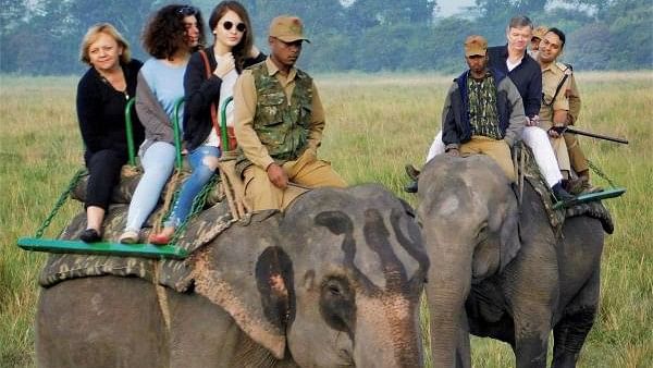 <div class="paragraphs"><p>Elephant safari in Kaziranga</p></div>