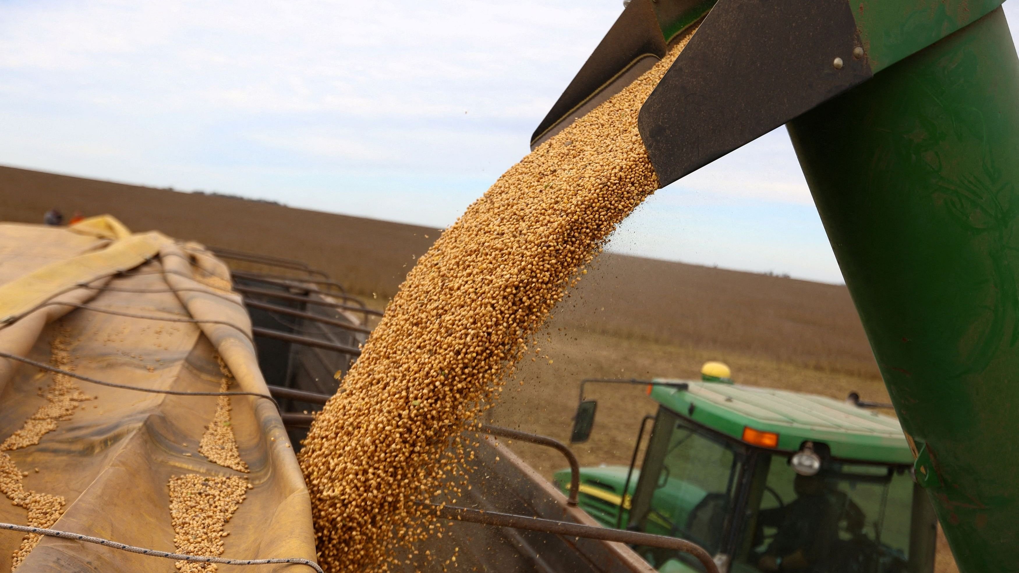 <div class="paragraphs"><p>Soybeans are loaded on a truck after being harvested.</p></div>