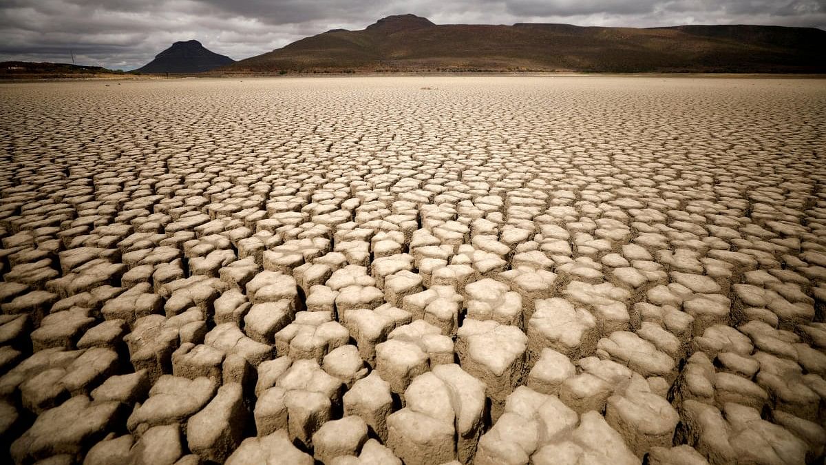 <div class="paragraphs"><p>Representative image of a drought.</p></div>