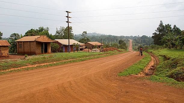 <div class="paragraphs"><p>Image showing a village road. (For representation)</p></div>