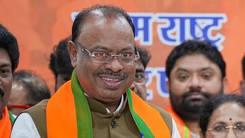 <div class="paragraphs"><p>Maharashtra BJP president Chandrashekhar Bawankule.</p></div>