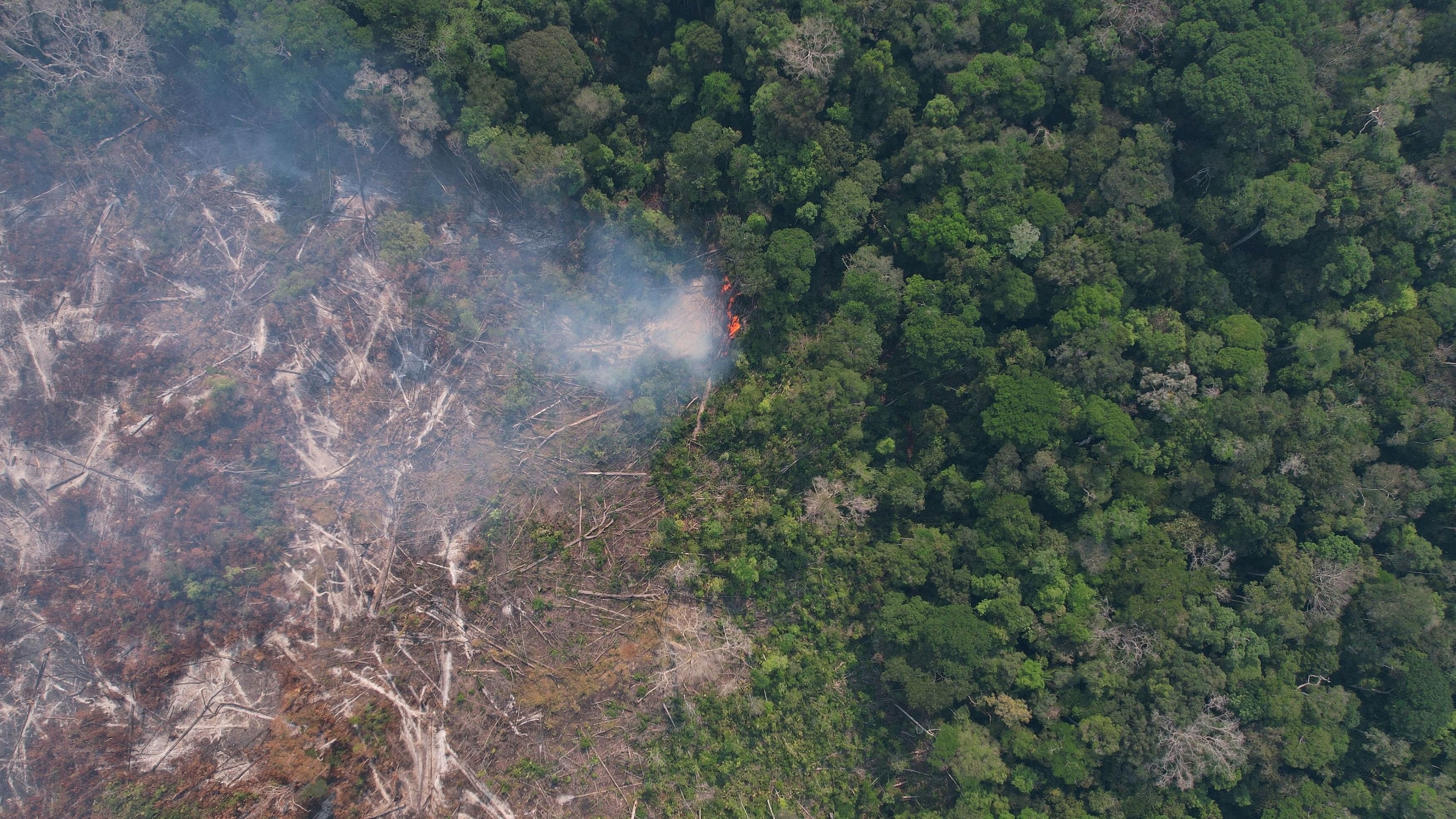 <div class="paragraphs"><p>A drone view shows burning trees in the Amazon rainforest, in Apui, Amazonas state, Brazil.</p></div>