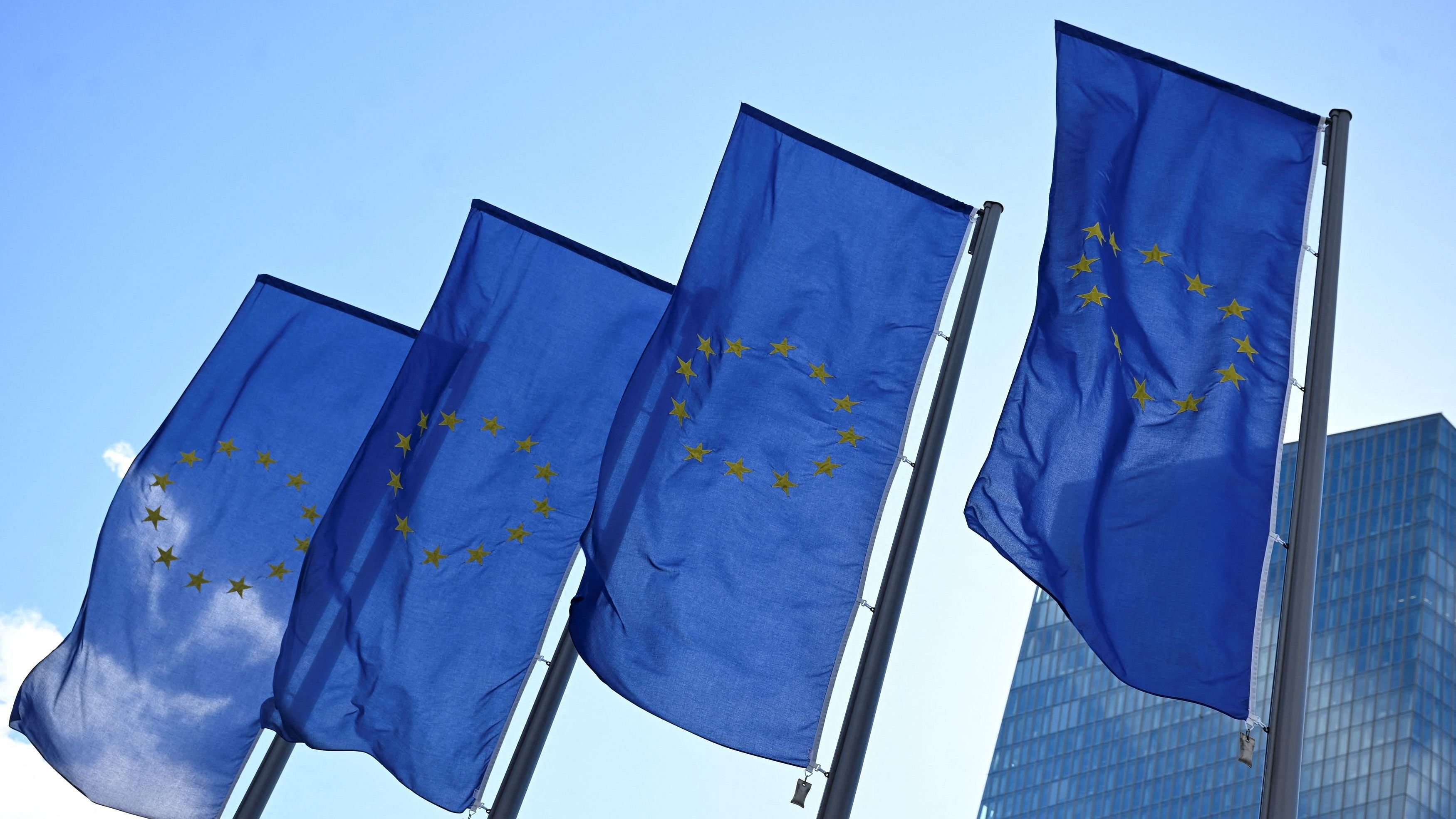 <div class="paragraphs"><p>European Union flags </p></div>