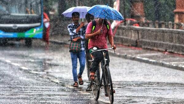 <div class="paragraphs"><p>Representative image showing rain in Delhi.</p></div>